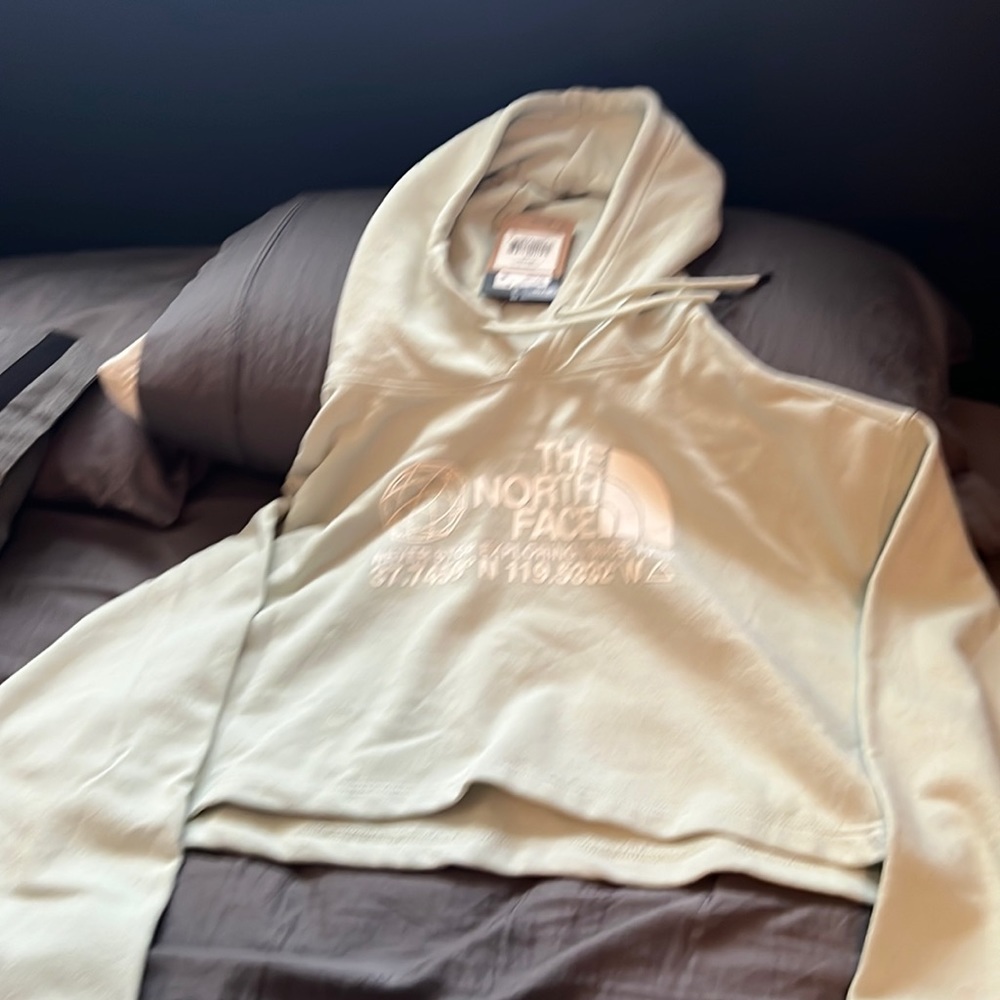 The north face cropped hooded logo top green mist-XXL